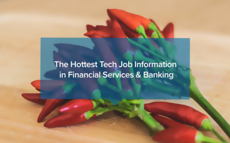 The Technical Interviewers Candidate Experience Checklist